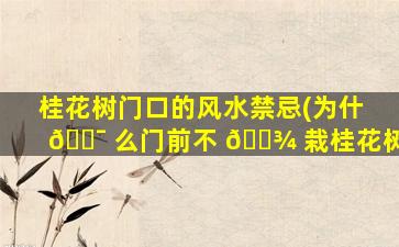 桂花树门口的风水禁忌(为什 🐯 么门前不 🌾 栽桂花树)